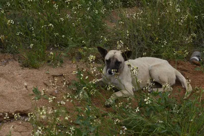 DSC_5021 (Large).JPG